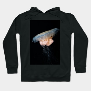 Irukandji Jellyfish Hoodie